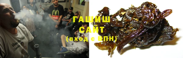 крисы Алзамай
