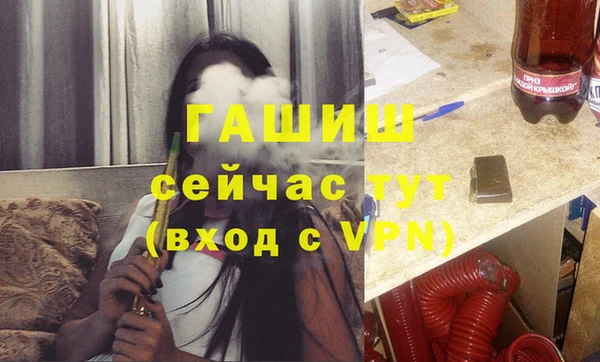 крисы Алзамай
