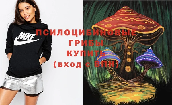 тгк Абинск