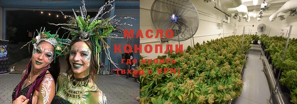 крисы Алзамай