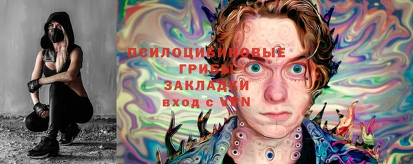 сатива Алексеевка