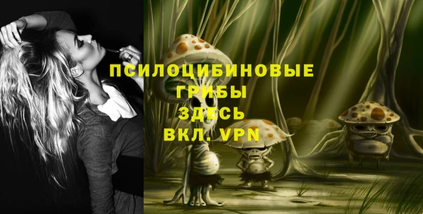 сатива Алексеевка