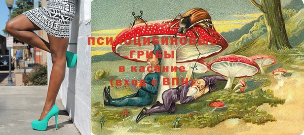 сатива Алексеевка