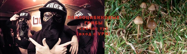 мдпв Киреевск