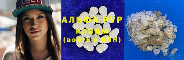 крисы Алзамай