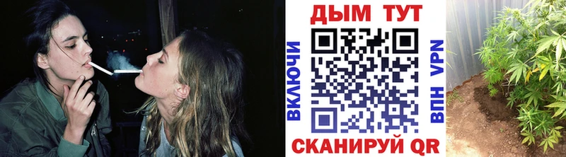 Бошки Шишки VHQ Чишмы
